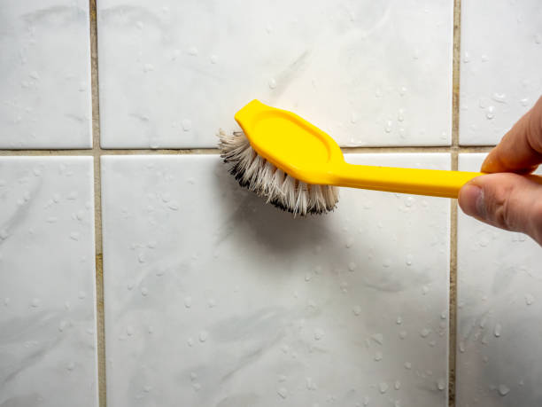 Best Mold Testing and Inspection Services in West Melbourne, FL