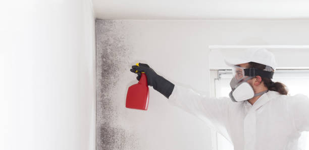 West Melbourne, FL Mold Remediation Company