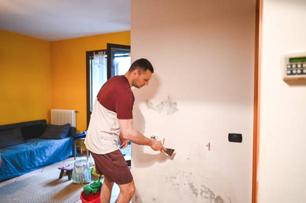 Professional Mold Remediation in West Melbourne, FL